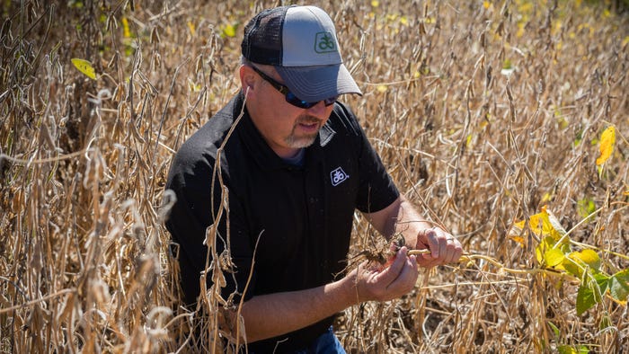 Matt Montgomery studies soybeans in a mature field
