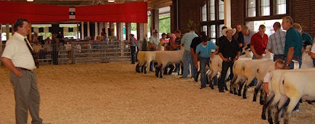 illinois_state_fair_entry_deadlines_are_fast_approaching_1_635386140297004000.jpg