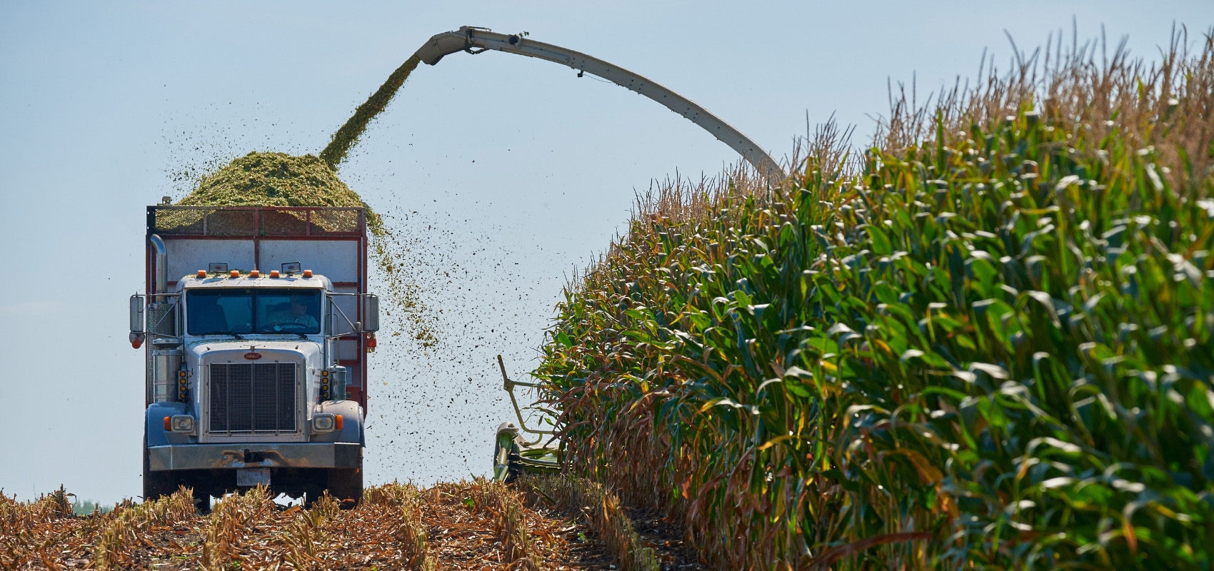 Dairyland Seed PAR Report Showcases