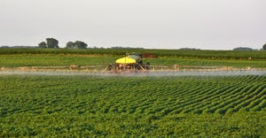 spraying soybean field