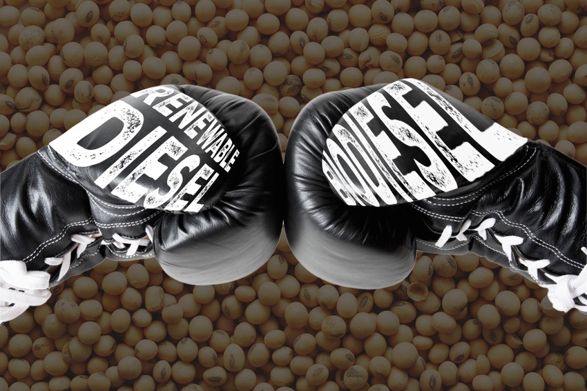 boxing gloves in front of dark soybean background boxing gloves in front of dark soybean background