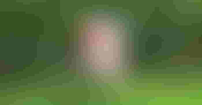 0203T-3458b-1540x800.jpg 0203T-3458b-1540x800.jpg