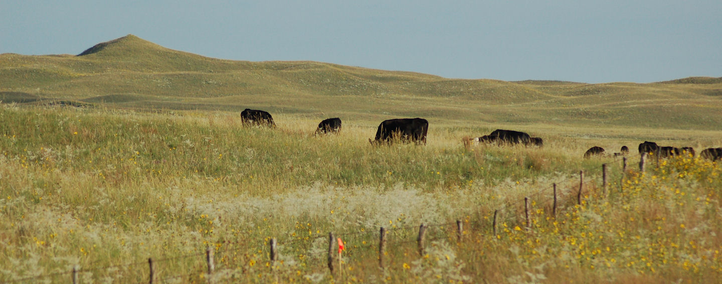 How To Terminate A Farm Lease