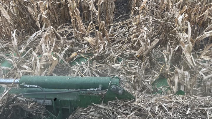 After rampant rainfall, call your crop insurance agent