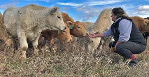 Jennifer Olson hand feeding cows