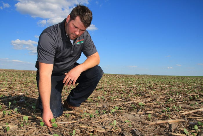 Adam Brown kneeling and looking at young plants and soil in field