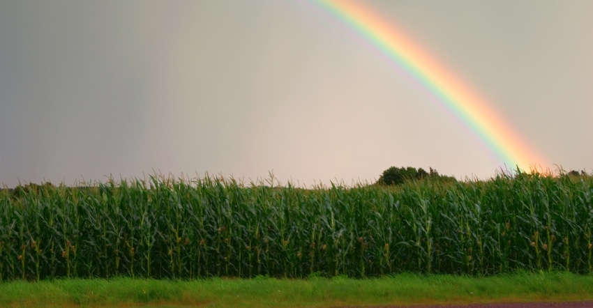 rainbox over cornfield