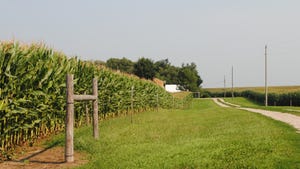 rural road with cornfield and farmstead next to it
