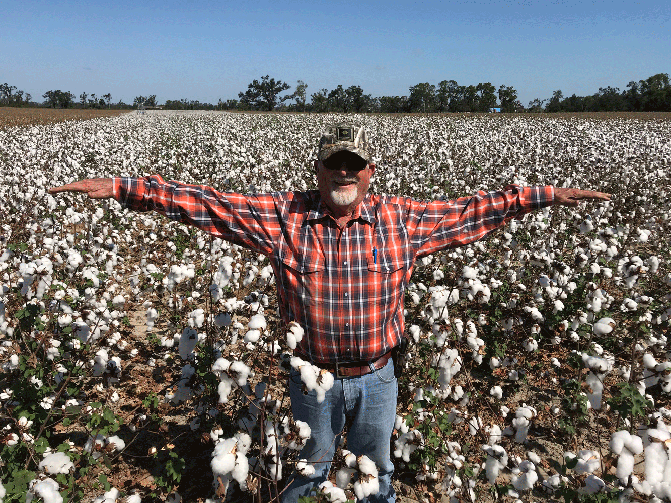 High Cotton winner grows high yields in environmentally sensitive area