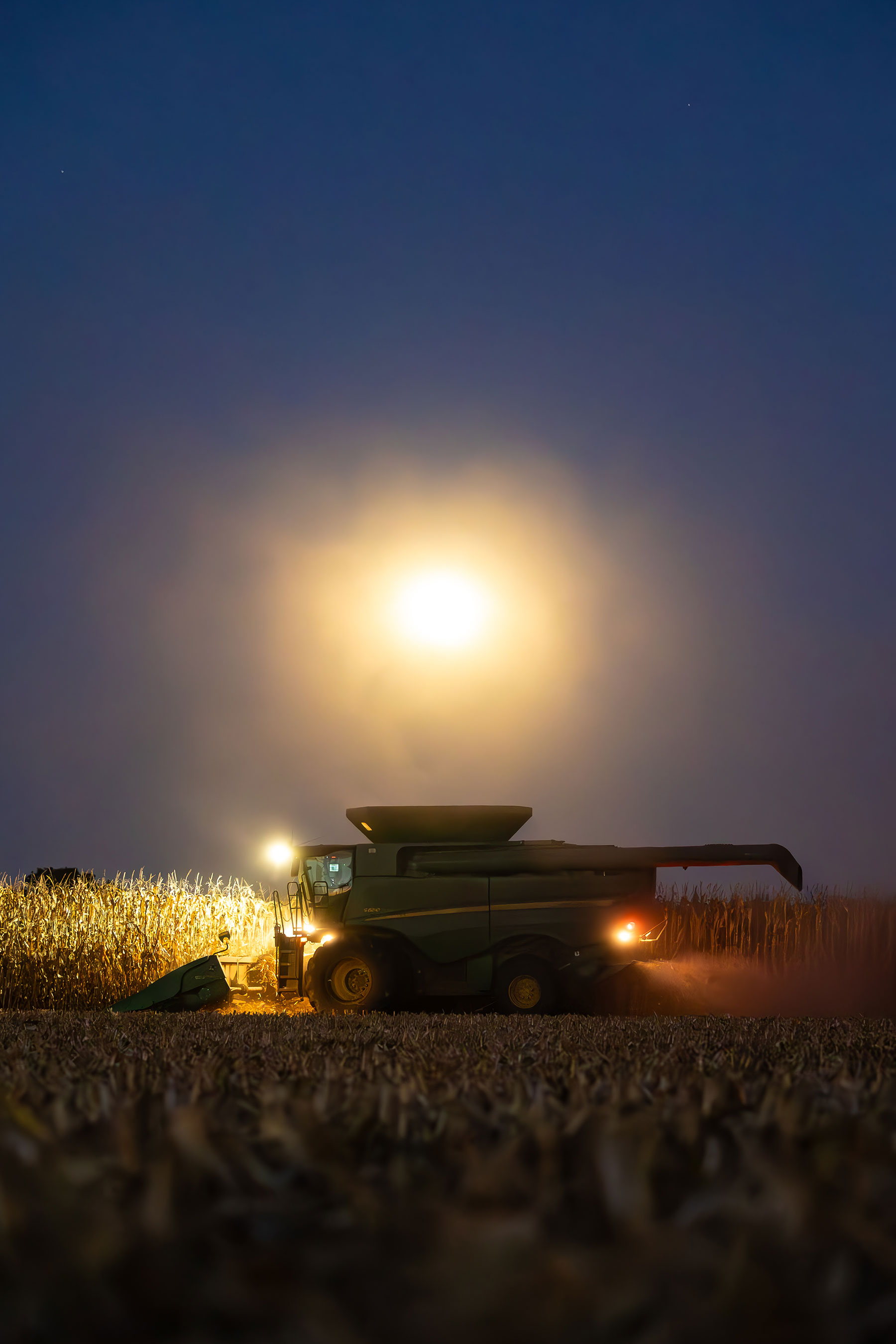 Combine in cornfield at night