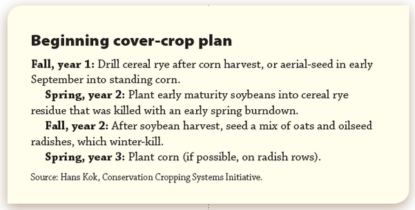 beginning cover crops