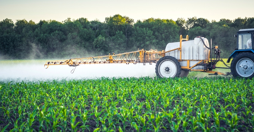 Pesticide application to young corn field