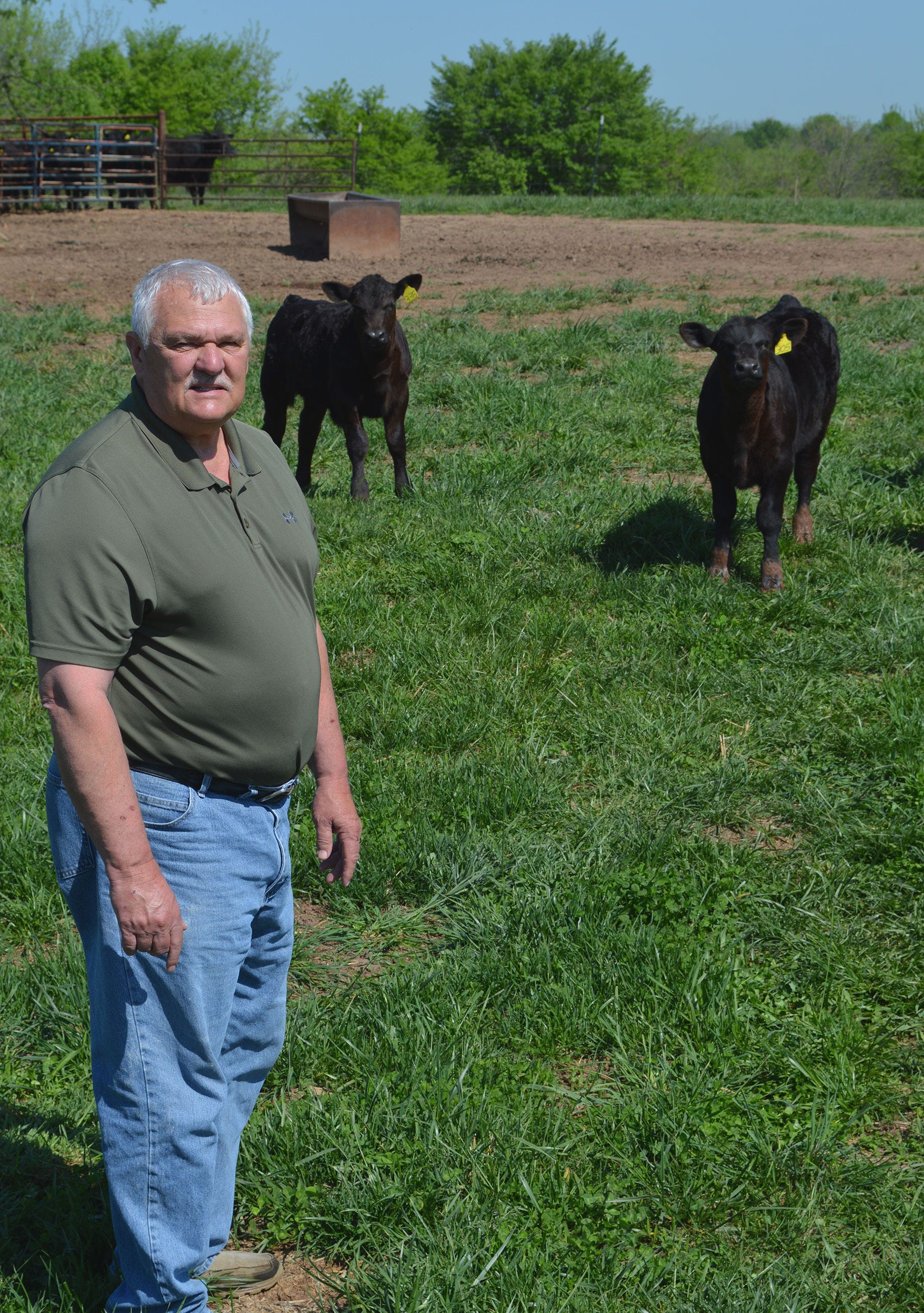 Joann Pipkin - Ron Crighton standing in a field with two beef cattle in the background