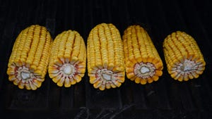 5 shucked ears of corn lying in a row