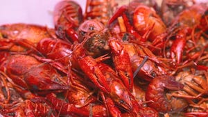 This Week in Agribusiness - Louisiana crawfish harvest