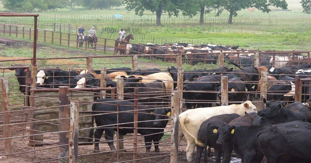 Stocker price spreads rearrange