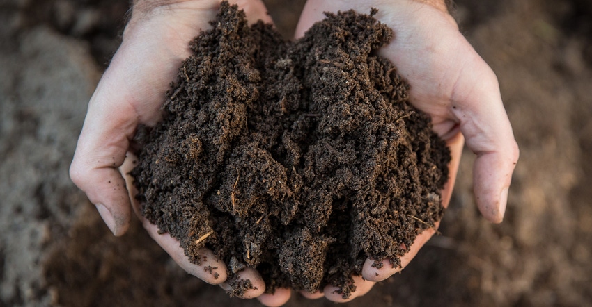 Hands holding dirt