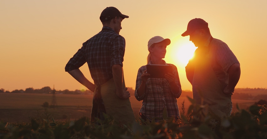 Three farmers talking in field at sunset