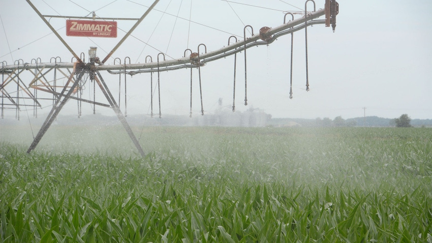 An irrigation system watering a cornfield