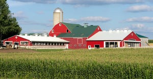 red farm buildings with cornfield in foreground