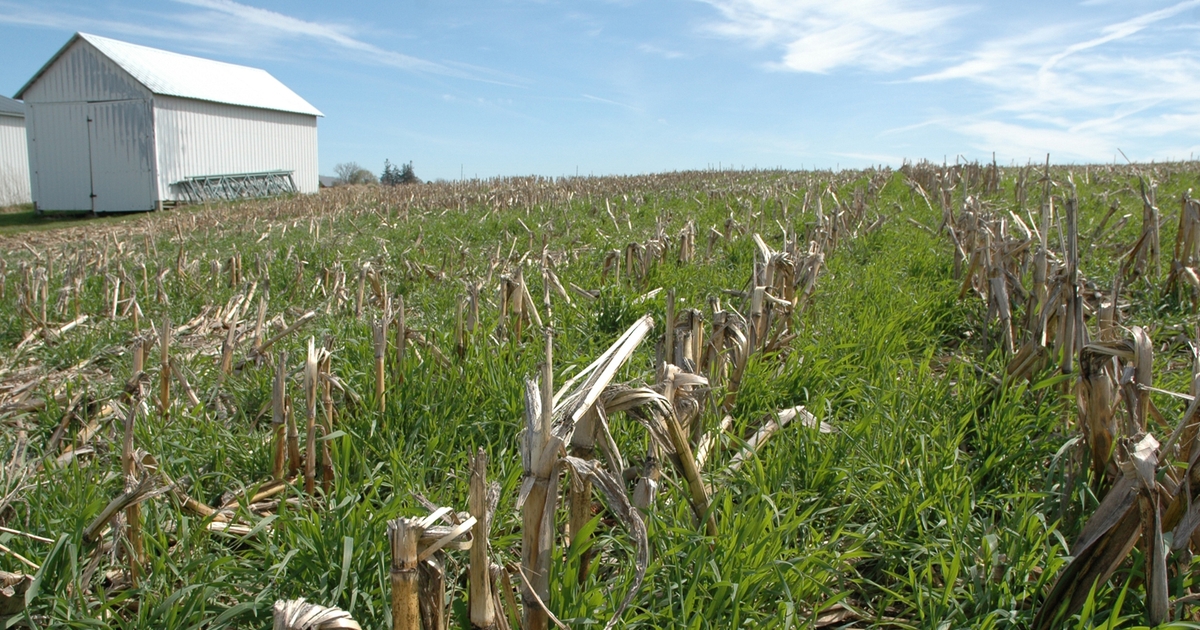 Learn more about cover crops, notill and soil health