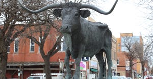 In Dodge city the El Capitan Statue is a bronze sculpture of a cow by Jasper D'Ambrosi