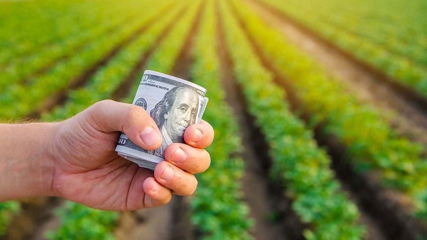 Hand holding wad of money with soybean field in the background