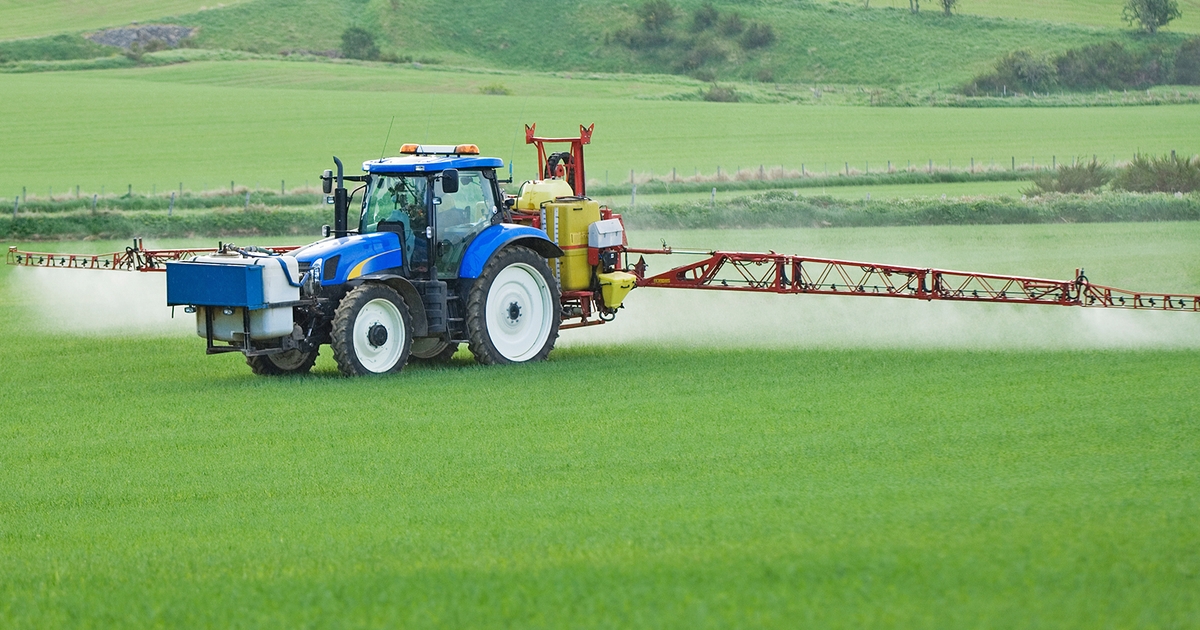 Bayer's new wheat herbicide controls grasses, broadleaves