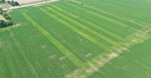 aerial photo of cornfield showing lighter strips of crop