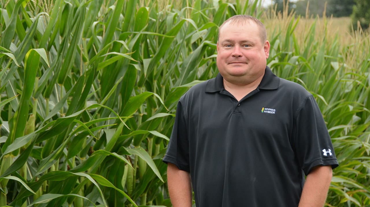 Corn Ruste Corn diseases: How to manage tar spot, southern rust and more