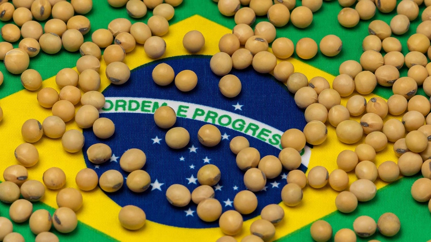 Soybeans on Flag of Brazil