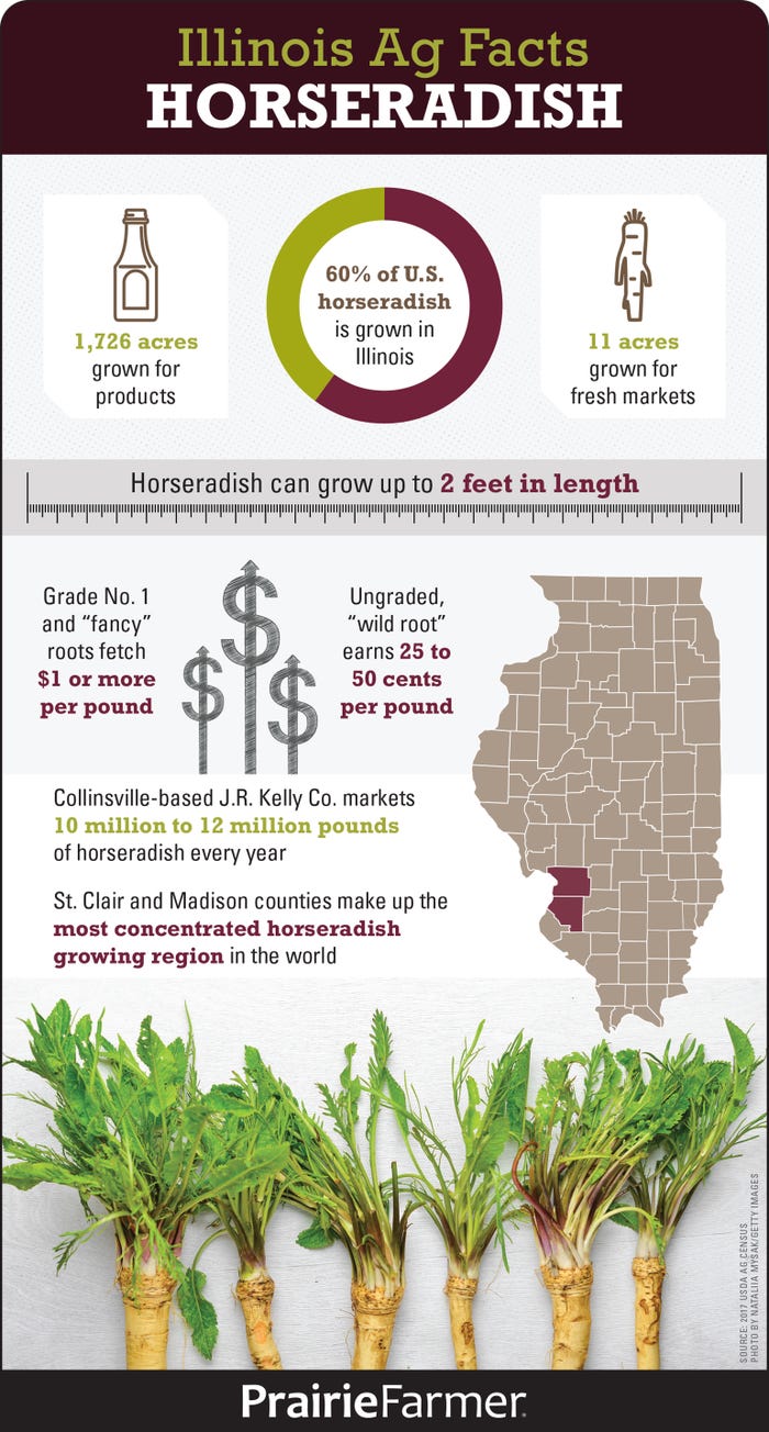 Illinois Ag Facts on Horseradish infographic