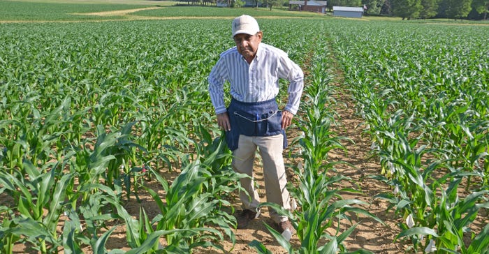 Dave Nanda stands in cornfield