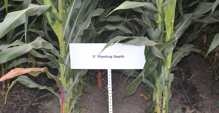 3-inch planting depth sign on Agco Crop Tour plots