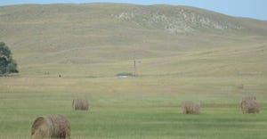 bales of hay in pasture