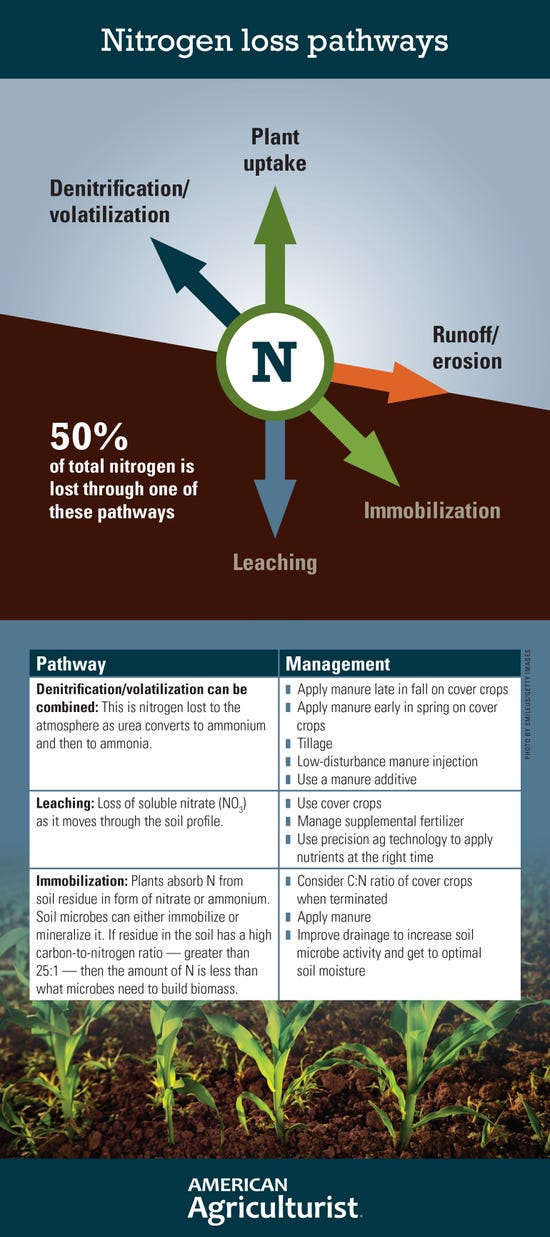 Nitrogen loss pathways infographic