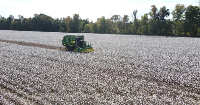 cotton picking