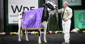 Holstein dairy cow named the 2022 supreme champion at World Dairy Expo