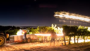 WFP-wine-institute-night-harvest1.jpg