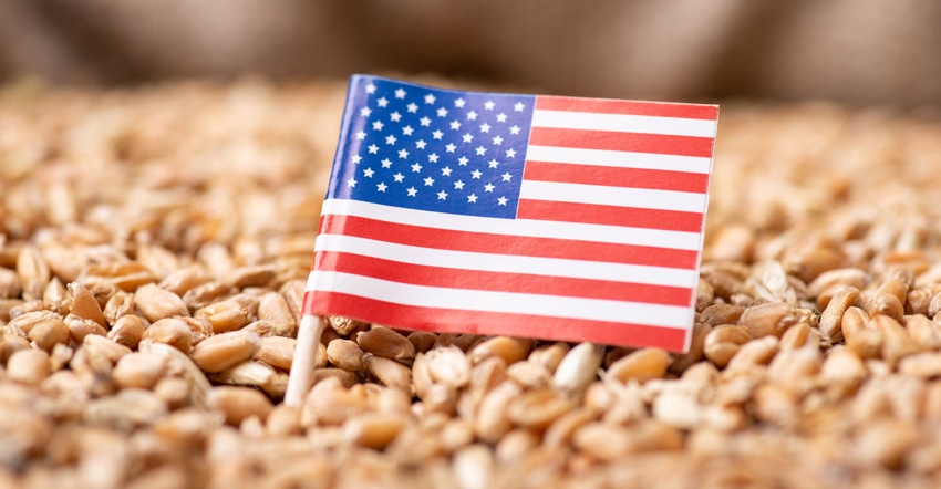 Close-up shot of flag of USA on wheat