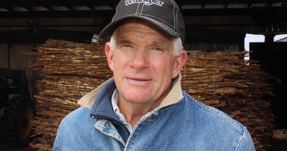chris bickers tobacco INDUSTRY FACES CHANGE AND CHALLENGE Why burley tobacco has worked