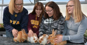 Howard Lake-Waverly-Winsted Ag teacher Seena Glessing talks about rabbit care with eighth graders Emma Stueven, Jasmine Lopez