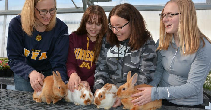 Howard Lake-Waverly-Winsted Ag teacher Seena Glessing talks about rabbit care with eighth graders Emma Stueven, Jasmine Lopez