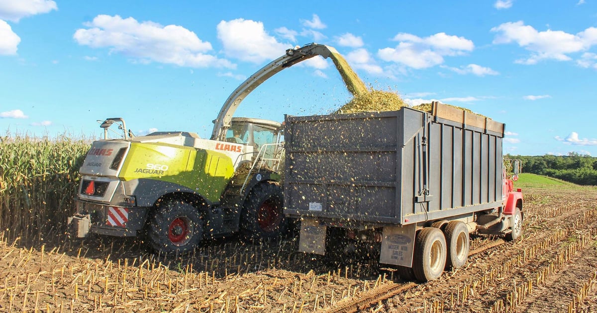 Forage harvester preparation tips for corn silage season