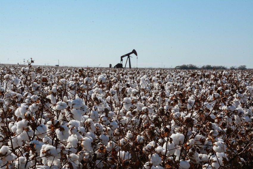 SWFP-SHELLEY-HUGULEY-PUMPJACK-COTTON.jpg SWFP-SHELLEY-HUGULEY-PUMPJACK-COTTON.jpg