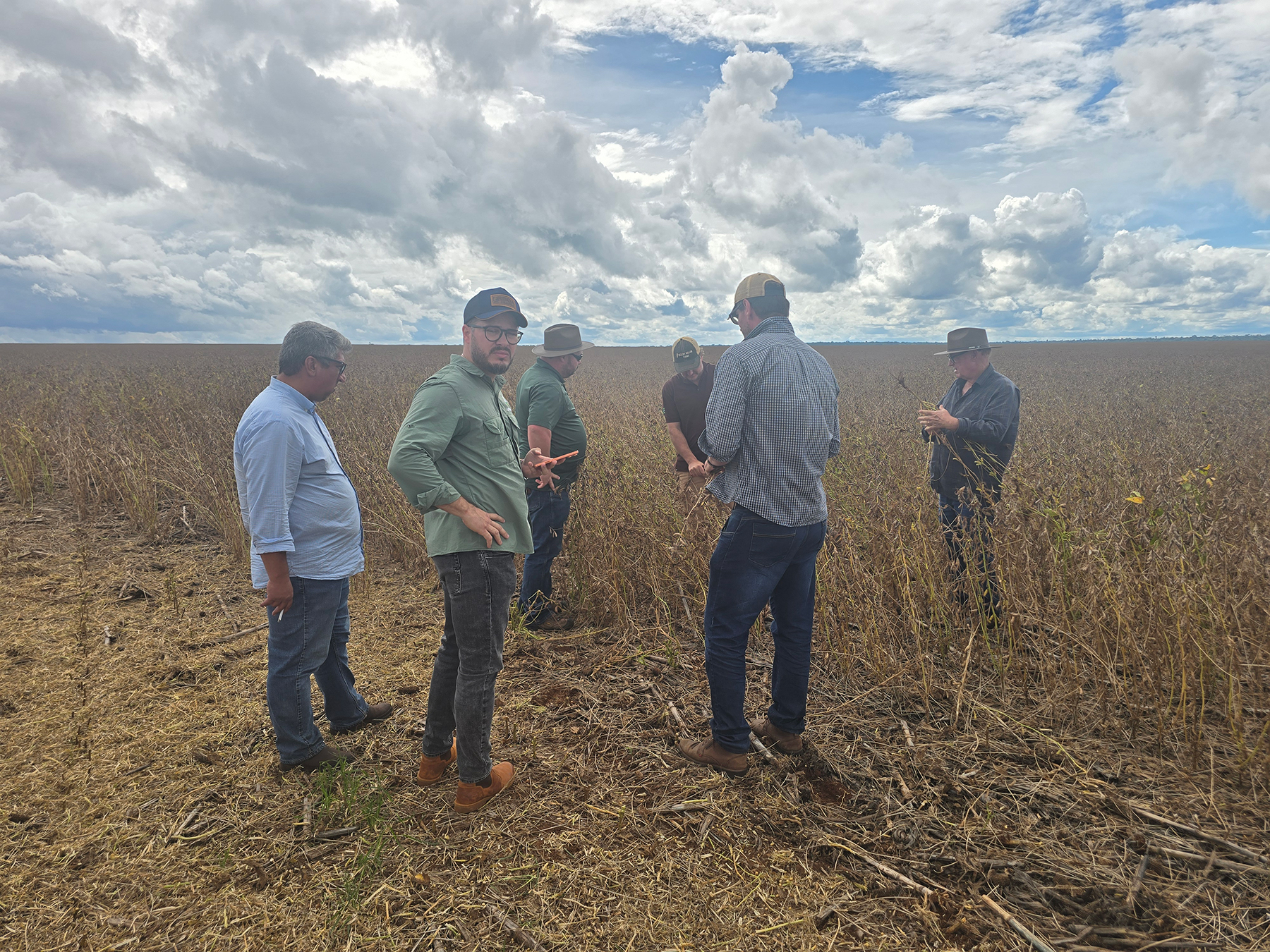 Chris Weaver - Group of men in a harvest ready soybean field