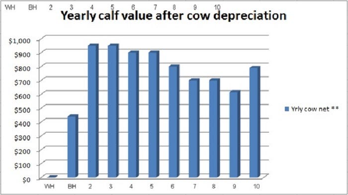 8-29-Yearly-calf-value-after-cow-depreciation.jpg