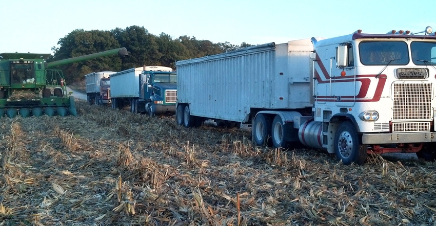 combine loading harvested corn into trucks