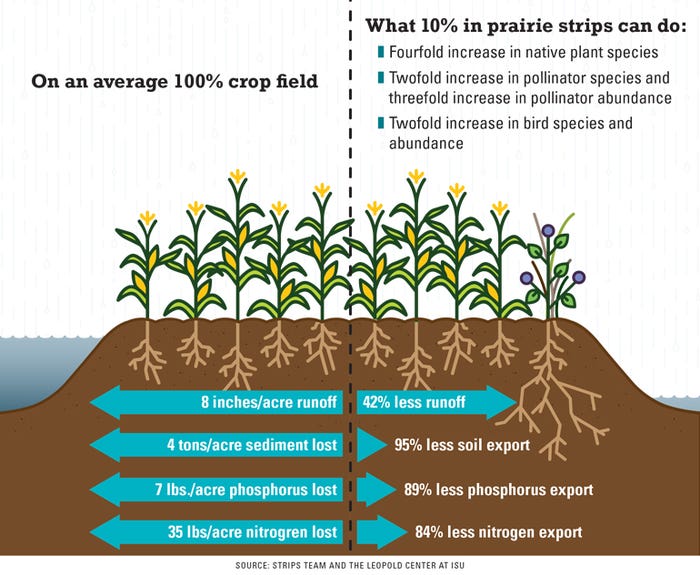 benefits of prairie strips infographic