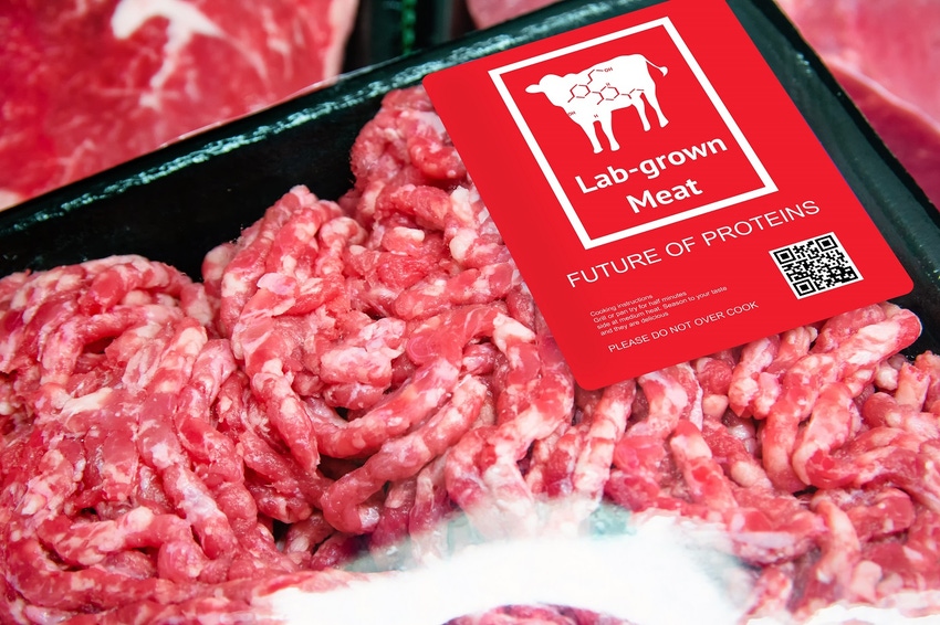 Fake meat representation
